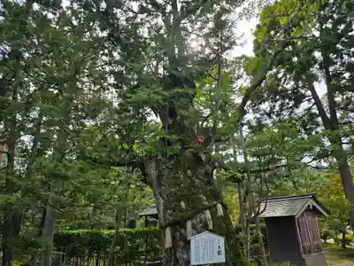 智恩寺(京都府)