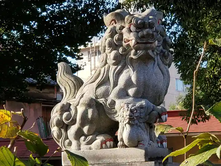 荻窪白山神社の狛犬