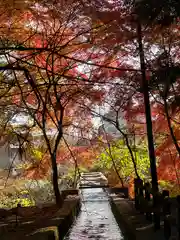 北口本宮冨士浅間神社(山梨県)