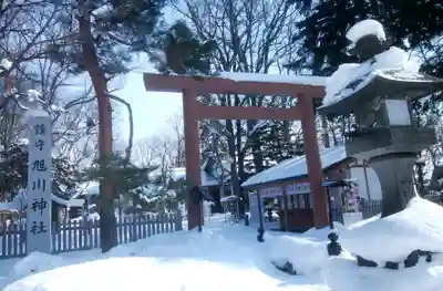 旭川神社の鳥居
