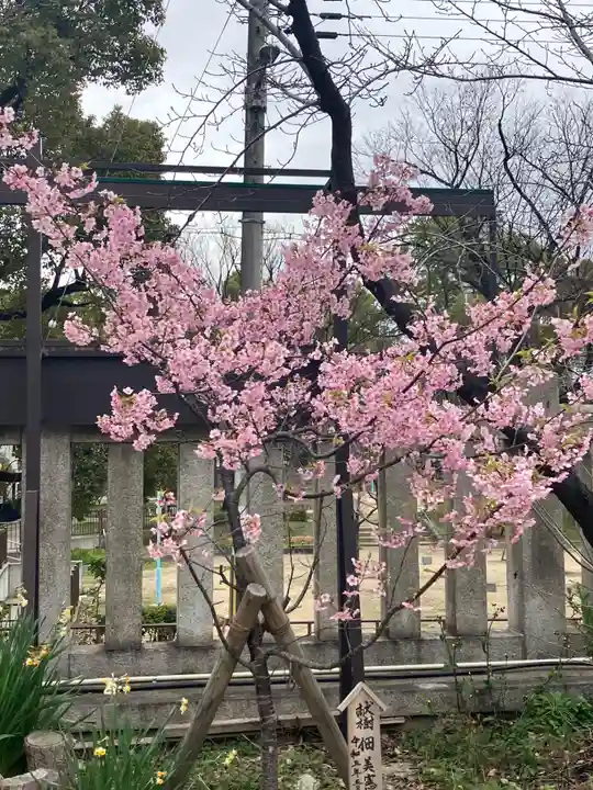 難波大社 生國魂神社(大阪府)