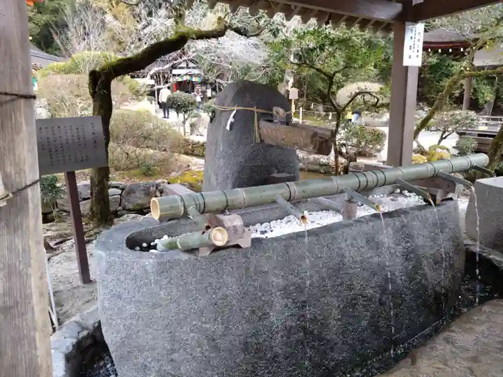 賀茂別雷神社(上賀茂神社)(京都府)
