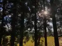 高司神社〜むすびの神の鎮まる社〜の景色