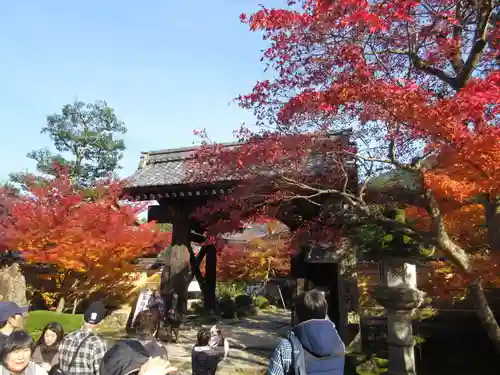 金剛輪寺の山門