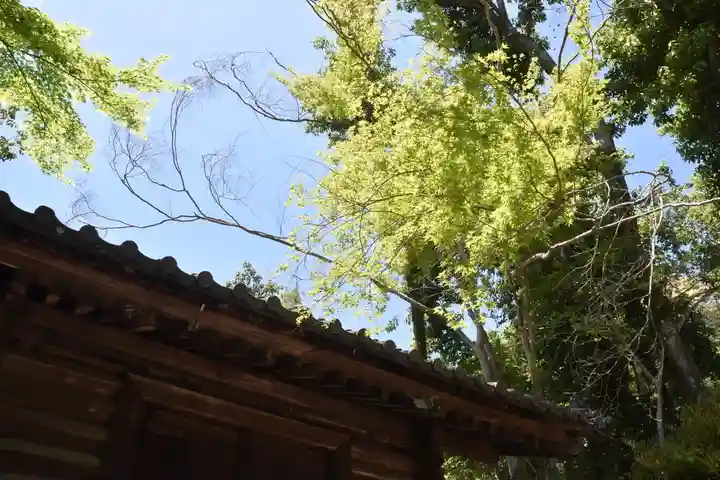 石山寺の自然