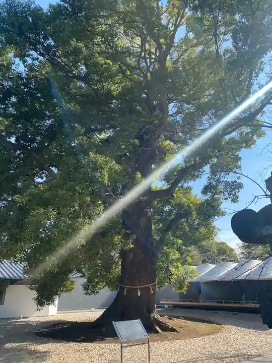 上野東照宮(東京都)