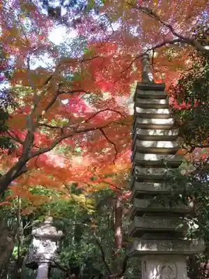 大正寺の塔