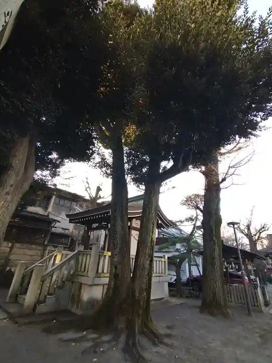 鎧神社の自然