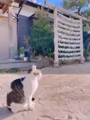 叶神社（東叶神社）の動物