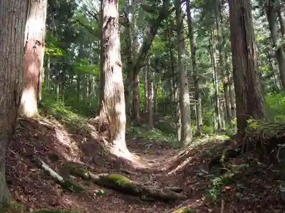 北山漆薬師の自然