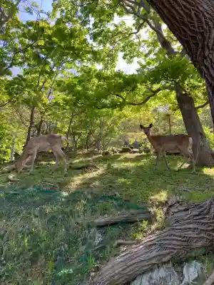 北門神社(北海道)