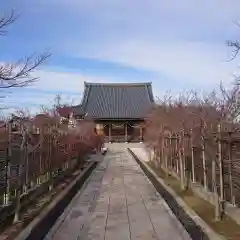 西本徳寺の建物その他