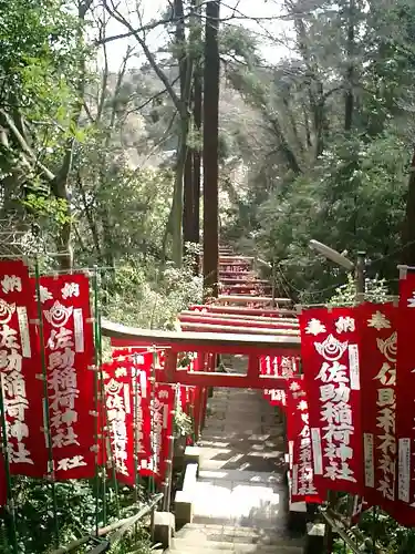 佐助稲荷神社の鳥居