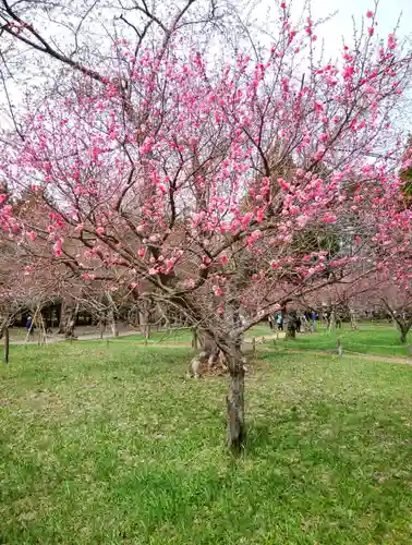 開拓神社の周辺