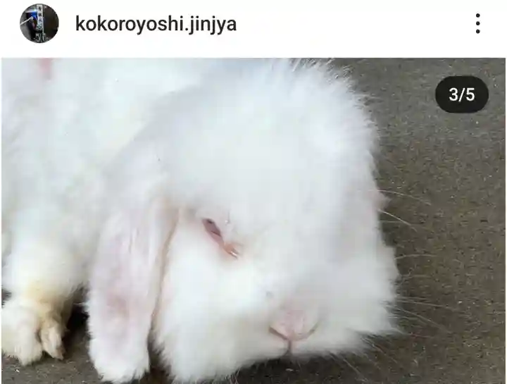 快神社(徳島県)