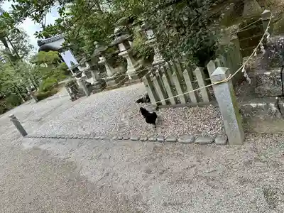 石上神宮(奈良県)