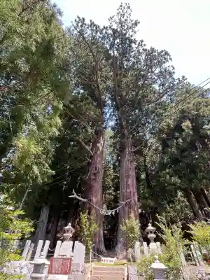 夏井諏訪神社(福島県)