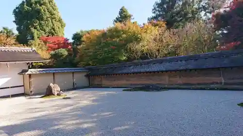 龍安寺の庭園