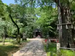 赤坂氷川神社の建物その他