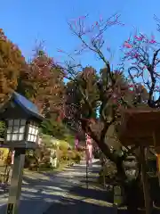 芳賀天満宮の建物その他