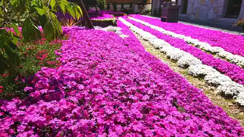 寿量山　速成寺の自然