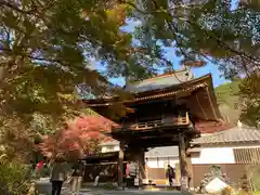 普門寺(切り絵御朱印発祥の寺)の山門