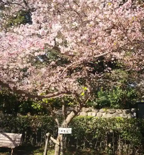 神明生田神社の庭園