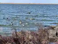 息栖神社の自然