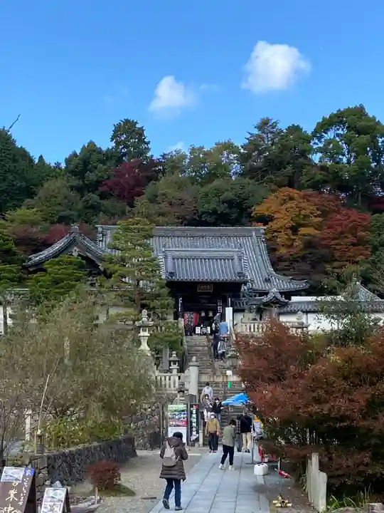 柳谷観音 楊谷寺(京都府)