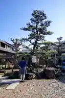 大宝院の庭園