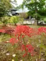 愛染院(東京都)