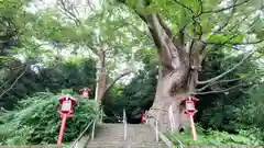 常陸第三宮　吉田神社(茨城県)