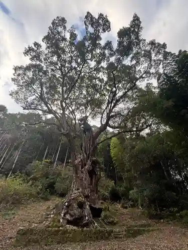 武雄神社(佐賀県)