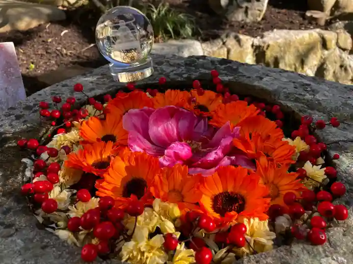 真言宗 善通寺派 薬王寺の{uncategorized: "未分類", other: "その他", undefined: "問題あり", building: "その他建物", grave: "お墓", sacred_gate: "鳥居", guardian: "狛犬", statue: "像", buddha: "仏像", history: "歴史", nature: "自然", garden: "庭園", animal: "動物", pagoda: "塔", temizu: "手水舎", mountain_gate: "山門・神門", sanctuary: "本殿・本堂", subordinate: "末社・摂社", art: "芸術", scenery: "景色", jizo: "地蔵", ema: "絵馬", goshuin: "御朱印", omikuji: "おみくじ", items: "授与品その他", amulet: "お守り", goshuincho: "御朱印帳", eats: "食事", festival: "お祭り", votive_dance: "神楽", shichigosan: "七五三参", wedding: "結婚式", experience: "体験その他", initially: "初詣", around: "周辺", anti_infection: "感染症対策"}