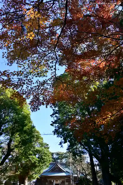 鶴谷八幡宮のその他建物