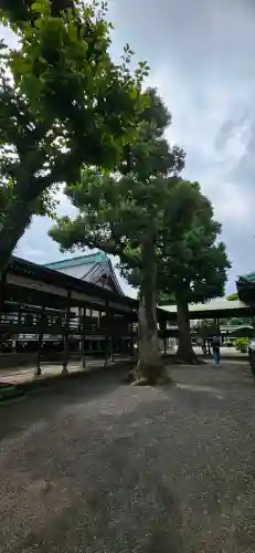 題経寺（柴又帝釈天）の{uncategorized: "未分類", other: "その他", undefined: "問題あり", building: "その他建物", grave: "お墓", sacred_gate: "鳥居", guardian: "狛犬", statue: "像", buddha: "仏像", history: "歴史", nature: "自然", garden: "庭園", animal: "動物", pagoda: "塔", temizu: "手水舎", mountain_gate: "山門・神門", sanctuary: "本殿・本堂", subordinate: "末社・摂社", art: "芸術", scenery: "景色", jizo: "地蔵", ema: "絵馬", goshuin: "御朱印", omikuji: "おみくじ", items: "授与品その他", amulet: "お守り", goshuincho: "御朱印帳", eats: "食事", festival: "お祭り", votive_dance: "神楽", shichigosan: "七五三参", wedding: "結婚式", experience: "体験その他", initially: "初詣", around: "周辺", anti_infection: "感染症対策"}