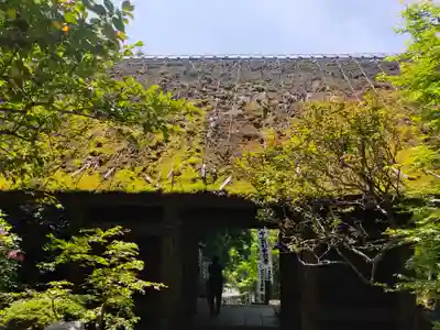 杉本寺(神奈川県)