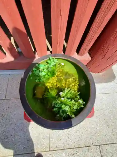 長沼八幡宮のその他建物