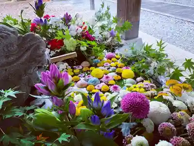 滑川神社 - 仕事と子どもの守り神の手水舎