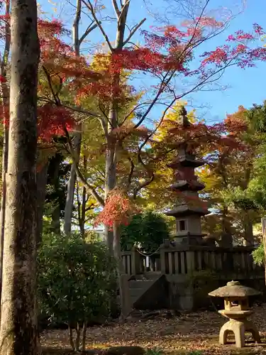 妙法寺(東京都)