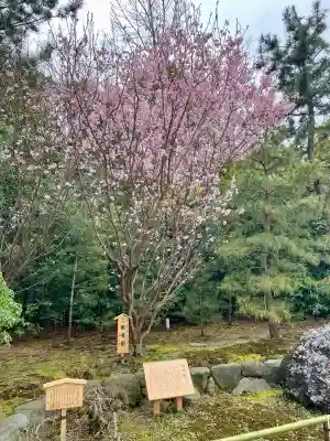 寒川神社の{uncategorized: "未分類", other: "その他", undefined: "問題あり", building: "その他建物", grave: "お墓", sacred_gate: "鳥居", guardian: "狛犬", statue: "像", buddha: "仏像", history: "歴史", nature: "自然", garden: "庭園", animal: "動物", pagoda: "塔", temizu: "手水舎", mountain_gate: "山門・神門", sanctuary: "本殿・本堂", subordinate: "末社・摂社", art: "芸術", scenery: "景色", jizo: "地蔵", ema: "絵馬", goshuin: "御朱印", omikuji: "おみくじ", items: "授与品その他", amulet: "お守り", goshuincho: "御朱印帳", eats: "食事", festival: "お祭り", votive_dance: "神楽", shichigosan: "七五三参", wedding: "結婚式", experience: "体験その他", initially: "初詣", around: "周辺", anti_infection: "感染症対策"}