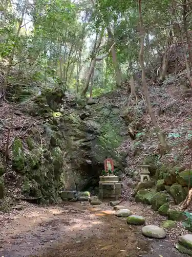 星田妙見宮の自然
