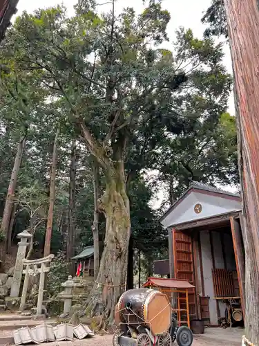 松尾神社の建物その他