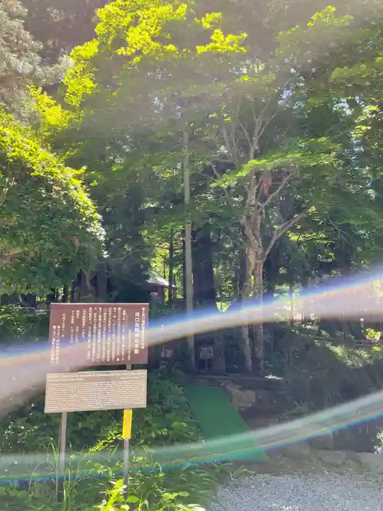 河口浅間神社(山梨県)