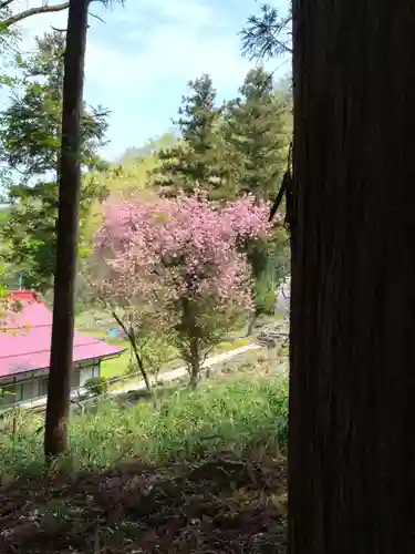 浄光寺(長野県)