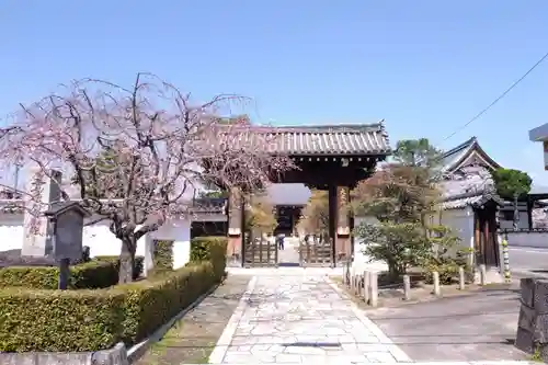 妙顯寺（妙顕寺）(京都府)