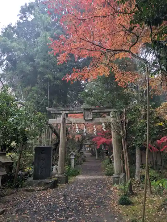 五所駒瀧神社(茨城県)