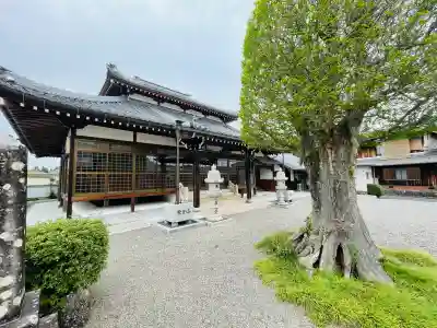 長福寺の{uncategorized: "未分類", other: "その他", undefined: "問題あり", building: "その他建物", grave: "お墓", sacred_gate: "鳥居", guardian: "狛犬", statue: "像", buddha: "仏像", history: "歴史", nature: "自然", garden: "庭園", animal: "動物", pagoda: "塔", temizu: "手水舎", mountain_gate: "山門・神門", sanctuary: "本殿・本堂", subordinate: "末社・摂社", art: "芸術", scenery: "景色", jizo: "地蔵", ema: "絵馬", goshuin: "御朱印", omikuji: "おみくじ", items: "授与品その他", amulet: "お守り", goshuincho: "御朱印帳", eats: "食事", festival: "お祭り", votive_dance: "神楽", shichigosan: "七五三参", wedding: "結婚式", experience: "体験その他", initially: "初詣", around: "周辺", anti_infection: "感染症対策"}