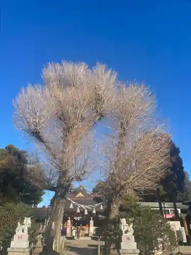 亀ケ池八幡宮(神奈川県)