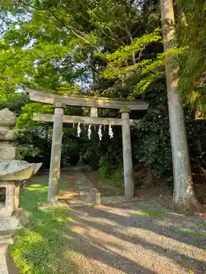天津神社(新潟県)